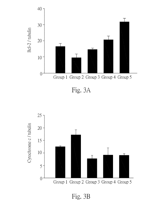 Fig.3